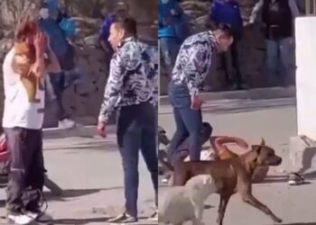 VIDEO: Salen videos de otras agresiones por parte sujeto que golpeó a un empleado de Subway