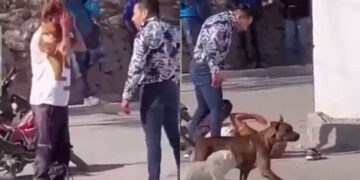 VIDEO: Salen videos de otras agresiones por parte sujeto que golpeó a un empleado de Subway