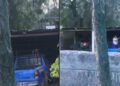 Maltrato animal. Mujer cuelga a un perrito hasta ahorcarlo en Rioverde; exigen justicia