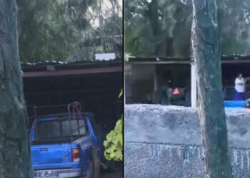 Maltrato animal. Mujer cuelga a un perrito hasta ahorcarlo en Rioverde; exigen justicia