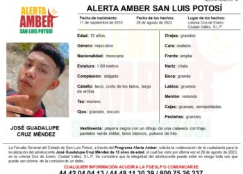 Activan Alerta Amber en SLP para localizar a niño de 12 años reportado como desaparecido