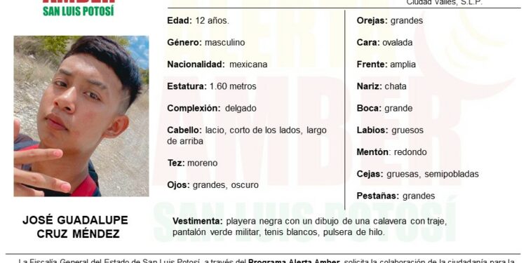 Activan Alerta Amber en SLP para localizar a niño de 12 años reportado como desaparecido