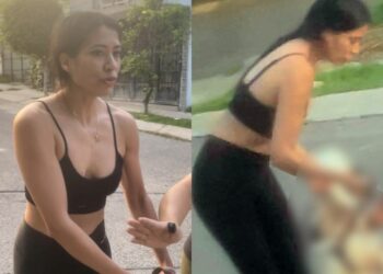 ¡Husky asesino!: Denuncian a mujer por ordenar a su perro matar a un lomito de la calle