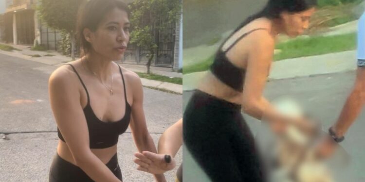 ¡Husky asesino!: Denuncian a mujer por ordenar a su perro matar a un lomito de la calle