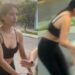 ¡Husky asesino!: Denuncian a mujer por ordenar a su perro matar a un lomito de la calle