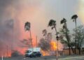 Confirman la muerte de dos mexicanos en incendios de Hawái