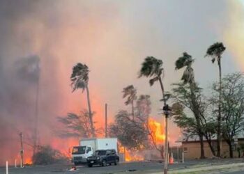 Confirman la muerte de dos mexicanos en incendios de Hawái