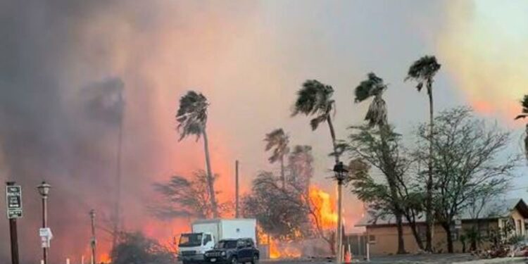 Confirman la muerte de dos mexicanos en incendios de Hawái