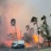 Confirman la muerte de dos mexicanos en incendios de Hawái