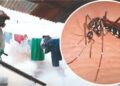 Matehuala con dos casos de dengue: Daniel Acosta