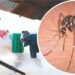 Matehuala con dos casos de dengue: Daniel Acosta