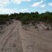 Encuentran dos cuerpos uno de ellos decapitado, en un camino de terracería en Real del Potosí