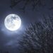 ¿Qué es la luna de esturión? Hoy iluminará el cielo de México