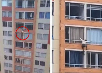 VIDEO: ¡Tragedia! Mujer se lanza de edificio durante sismo en Colombia