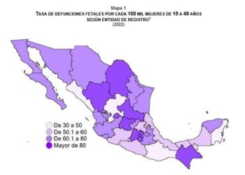 SLP, el estado con más muertes fetales durante 2022: Inegi