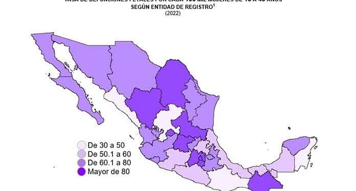 SLP, el estado con más muertes fetales durante 2022: Inegi