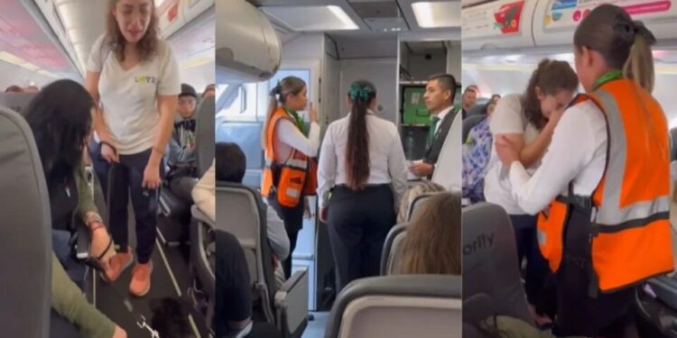 VIDEO: Viva Aerobus baja a joven con su perro de apoyo emocional; pasajeros intervienen para evitarlo