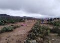 Hallan a un hombre muerto en Mexquitic
