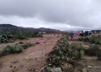 Hallan a un hombre muerto en Mexquitic