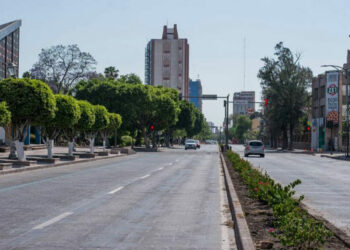 Urge un plan para rescatar la Avenida Carranza: Liliana Flores