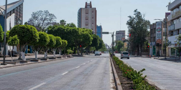 Urge un plan para rescatar la Avenida Carranza: Liliana Flores