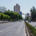 Urge un plan para rescatar la Avenida Carranza: Liliana Flores