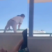 VIDEO: Estudiante se arroja desde tercer piso en escuela de Chihuahua