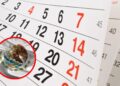 Habrá nuevo día de descanso obligatorio en México, ¿por qué y cuándo entra en vigor?