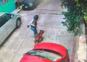 Mi hijo está en estado crítico, me lo desfiguraron: Padre de niño atacado por un pitbull