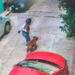 Mi hijo está en estado crítico, me lo desfiguraron: Padre de niño atacado por un pitbull
