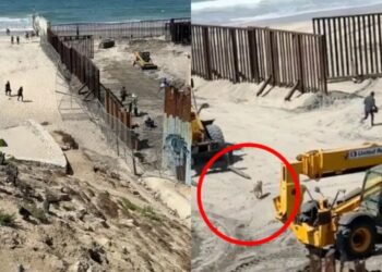 VIDEO: “Aprovecharon la reparación”: migrantes y hasta un perrito cruzaron muro de EEUU desde playa de Tijuana