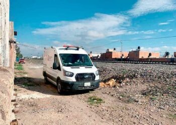 Mujer arrollada por el tren y devorada por los perros
