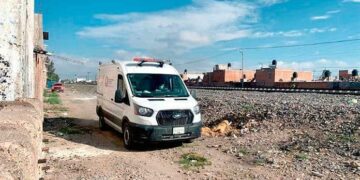 Mujer arrollada por el tren y devorada por los perros