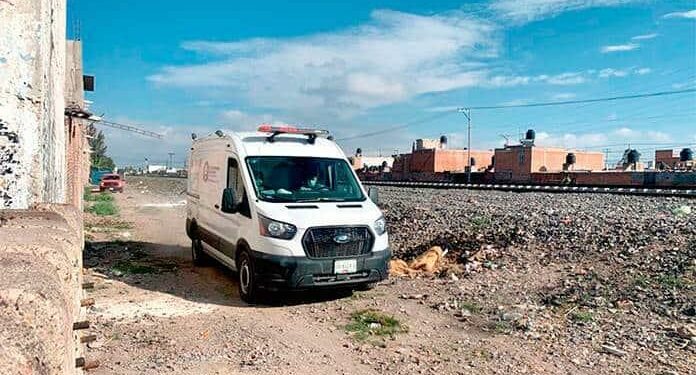 Mujer arrollada por el tren y devorada por los perros