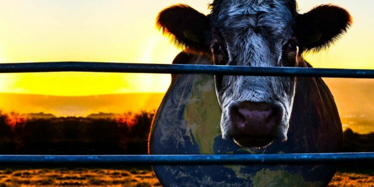 El impactante documental que te hará cuestionarte dejar de comer carnes rojas, lo produjo Leonardo DiCaprio y está en Netflix