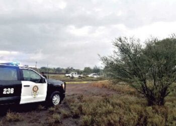 Hallan a jornalero muerto a golpes