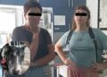 Mujeres sacrifican al perrito Tai, tras hacerse pasar por sus dueñas en veterinaria