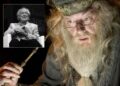 Muere Michael Gambon, el actor que interpretó a Dumbledore en Harry Potter