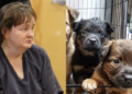 Fingió su muerte, torturó a sus hijos e hirvió vivos a cachorros, fue arrestada “por casualidad”