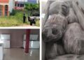 Horror en Veracruz: suman 18 cuerpos hallados en congeladores en Poza Rica