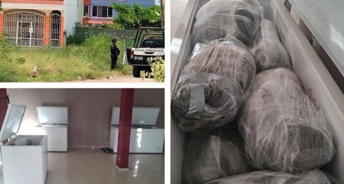 Horror en Veracruz: suman 18 cuerpos hallados en congeladores en Poza Rica