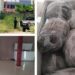 Horror en Veracruz: suman 18 cuerpos hallados en congeladores en Poza Rica