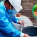 Detectan en SLP dos casos de dengue grave y 44 con signos de alarma