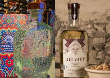 Mezcales potosinos son galardonados entre los ¡mejores del mundo!