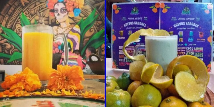 Pulque de calabaza, cempasúchil y mandarina, los curados que honran fechas otoñales y místicas en SLP