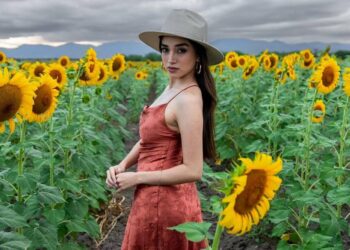 ¡Llega la temporada de Girasoles a Cerritos! Turistas aprovechan para sesiones de fotos