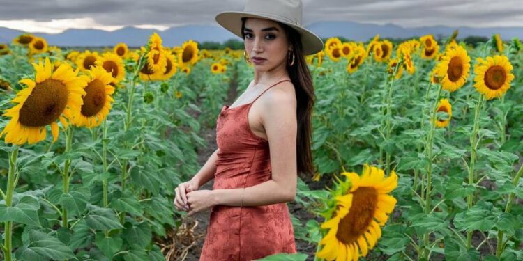 ¡Llega la temporada de Girasoles a Cerritos! Turistas aprovechan para sesiones de fotos