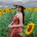 ¡Llega la temporada de Girasoles a Cerritos! Turistas aprovechan para sesiones de fotos