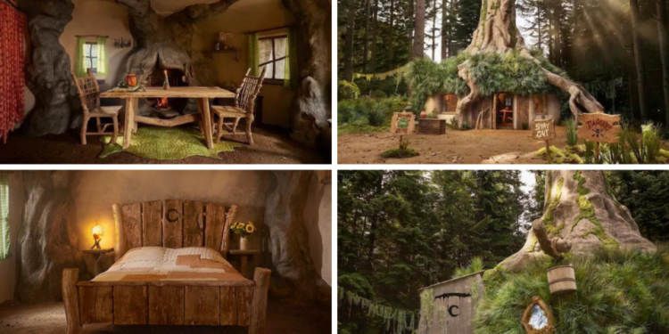 Pantano de Shrek ya está en Airbnb; así luce el ‘encantador’ lugar