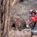 Con motivo del Día de Muertos y Xantolo, fotógrafo resalta la belleza de SLP con sesión de catrinas